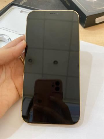 Điện thoại iPhone 12 Pro Max 256GB Gold (mã sp: #33865493)
