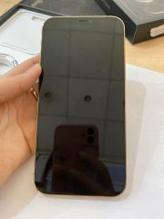  Điện thoại iPhone 12 Pro Max 256GB Gold (mã sp: #33865493) 