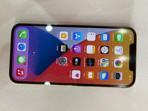Điện thoại iPhone 12 Pro Max 256GB Gold (mã sp: #34079811)
