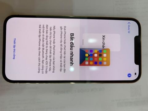 Điện thoại iPhone 12 Pro Max 256GB Gold (mã sp: #34340599)