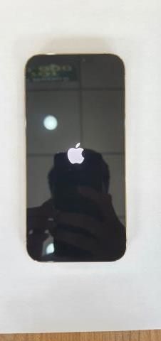 Điện thoại iPhone 12 Pro Max 256GB Gold (mã sp: #34435844)