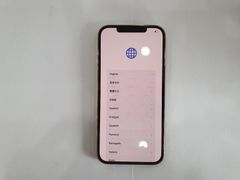  Điện thoại iPhone 12 Pro Max 256GB Gold 