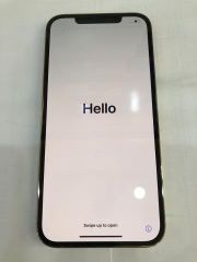  Điện thoại iPhone 12 Pro Max 256GB Gold (mã sp: #33547875) 