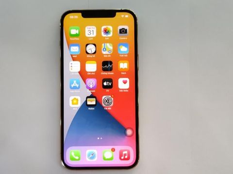 Điện thoại iPhone 12 Pro Max 256GB Gold (mã sp: #33884647)