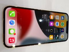  Điện thoại iPhone 12 Pro Max 512GB Gold 