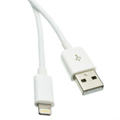 Sạc Adapter iPhone 5s