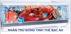  Lợi ích ngăn trữ đông tinh thể bạc độc quyền trên tủ lạnh Panasonic 