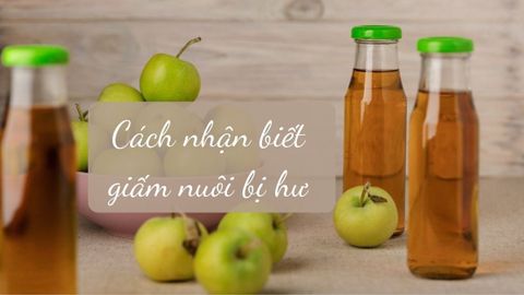 Cách nhận biết con giấm nuôi bị hư, các cách khắc phục hiệu quả nhất
