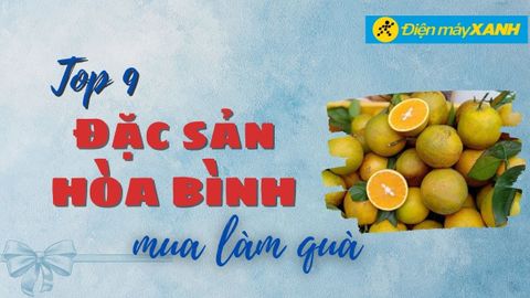Top 9 đặc sản Hoà Bình làm quà mang về hấp dẫn du khách gần xa