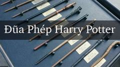  Tổng hợp các loại đũa phép trong Harry Potter 