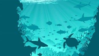 5 ứng dụng hấp dẫn đang FREE cho iPhone và iPad, có game phiêu lưu Aqua Break bơi sâu xuống khu vực tăm tối nhất của đại dương