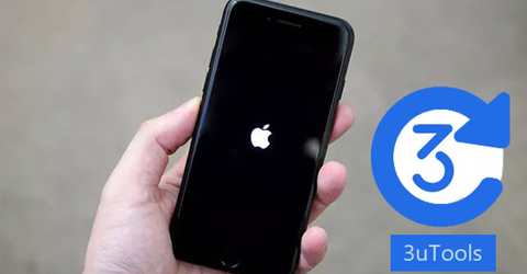 Cách restore iPhone bằng phần mềm 3utools đơn giản, hiệu quả