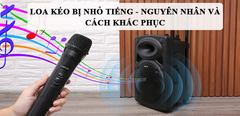  Loa kéo bị nhỏ tiếng - Nguyên nhân và cách khắc phục nhanh chóng nhất 