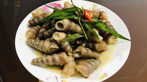 2 cách làm ốc đinh xào dừa thơm ngon béo bùi cực hấp dẫn tại nhà