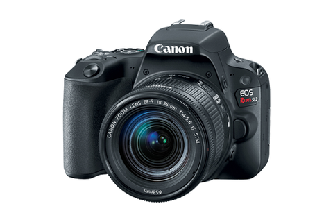 Canon Eos Rebel Sl2 Ef-S 18-55Mm Is Stm