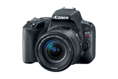  Canon Eos Rebel Sl2 Ef-S 18-55Mm Is Stm 