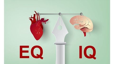 Chỉ số EQ, IQ là gì? Sự khác biệt giữa EQ và IQ