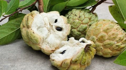 Cách chọn na ngon, cách bảo quản na điều kiện thường, na chín trong tủ lạnh