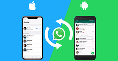  Cách chuyển dữ liệu WhatsApp từ iPhone sang thiết bị Galaxy nhanh nhất 