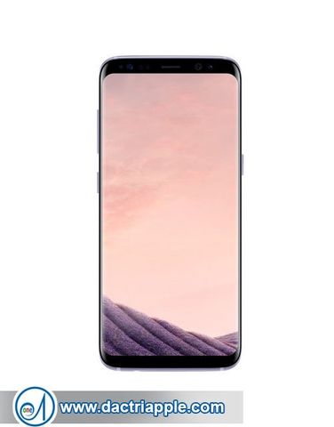 Làm gì khi iPhone 7 Plus bị nước vô