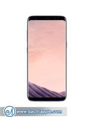 Làm gì khi iPhone 7 Plus bị nước vô