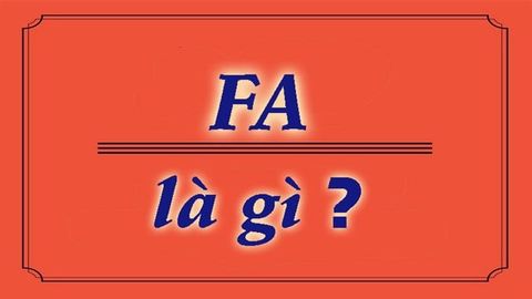 FA là gì? Các dạng FA thường hay gặp trong đời sống