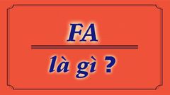  FA là gì? Các dạng FA thường hay gặp trong đời sống 