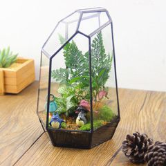  Tiểu Cảnh Trang Trí Terrarium Được Xiaomi Ra Mắt Nổi Bật Với Hệ Thống Chiếu Sáng Khoa Học 