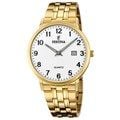  Đồng hồ Nam Festina F20513/1 