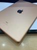 iPad 8 Wifi 32GB Gold (MYLC2ZA/A)