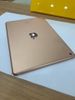 iPad 8 Wifi 32GB Gold (MYLC2ZA/A)