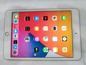 Máy tính bảng iPad mini 7.9 inch Wifi 64GB (2019)