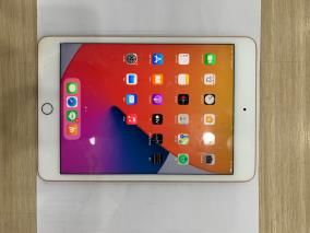 Máy tính bảng iPad mini 7.9 inch Wifi 64GB (2019)