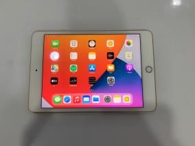 Máy tính bảng iPad mini 7.9 inch Wifi 64GB (2019)