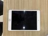 Máy tính bảng iPad mini 7.9 inch Wifi 64GB (2019)