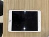Máy tính bảng iPad mini 7.9 inch Wifi 64GB (2019)