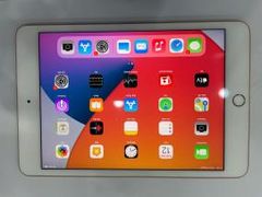  Máy tính bảng iPad mini 7.9 inch Wifi 64GB (2019) 