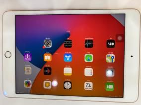Máy tính bảng iPad mini 7.9 inch Wifi 64GB (2019)