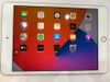 Máy tính bảng iPad mini 7.9 inch Wifi 64GB (2019)