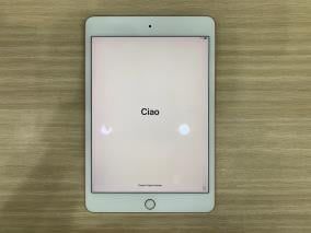 Máy tính bảng iPad mini 7.9 inch Wifi 64GB (2019)
