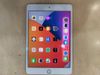 Máy tính bảng iPad mini 7.9 inch Wifi 64GB (2019)