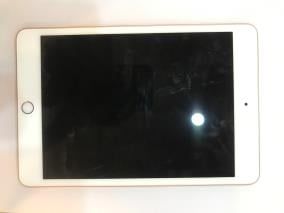 Máy tính bảng iPad mini 7.9 inch Wifi 64GB (2019)