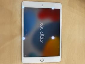 Máy tính bảng iPad mini 7.9 inch Wifi 64GB (2019)