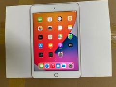  Máy tính bảng iPad mini 7.9 inch Wifi 64GB (2019) 