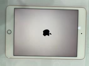 Máy tính bảng iPad mini 7.9 inch Wifi 64GB (2019)
