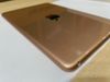 iPad Mini new Wifi 64GB (MUQY2ZA/A) Gold