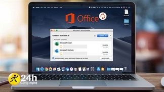 Cách cập nhật Office trên máy tính, giúp bạn trải nghiệm những tính năng mới và làm việc hiệu quả hơn