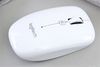 Chuột Bluetooth Logitech M557