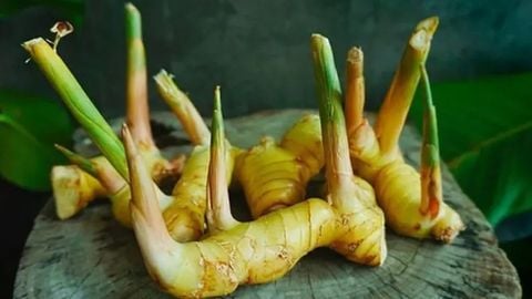 5 cách bảo quản riềng được lâu, không héo để chế biến món ăn