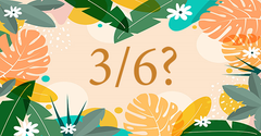  3/6 là ngày gì? Mệnh gì? Cung hoàng đạo gì? Có sự kiện nổi bật nào? 